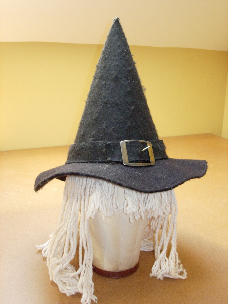 Costume Witch
